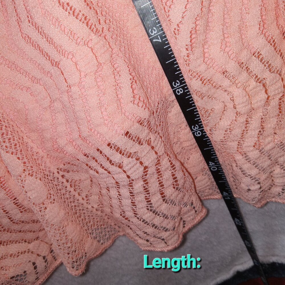 Rabbit Rabbit Rabbit Designs Peach Lace Dress Womens Sz 18 NWT Boho Cottagecore - Picture 3 of 12